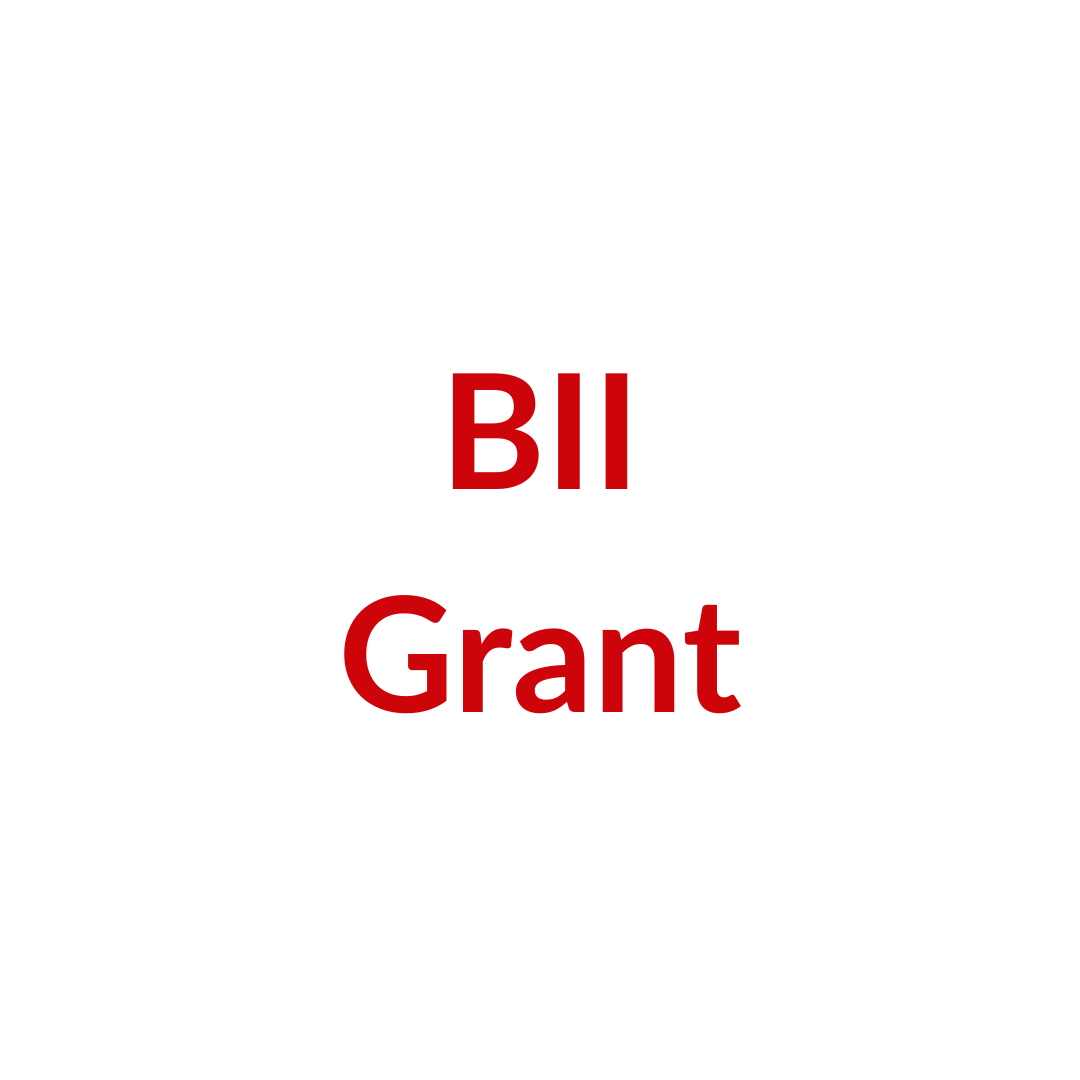 UID-00048-2025-BII-4