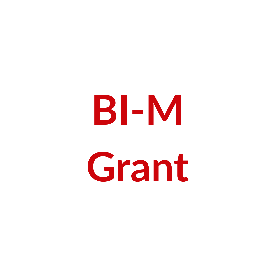 BCI4ALL-BIM-3