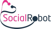 Social Robot